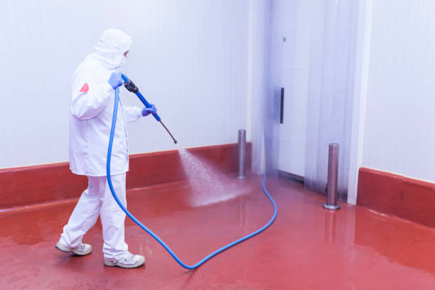 Best House Exterior Washing  in Woodbury Heights, NJ